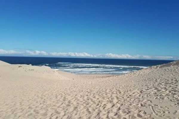 Coastal Tours Image