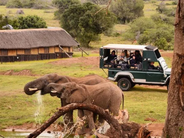 Schotia Tooth and Claw Safari Gallery 6