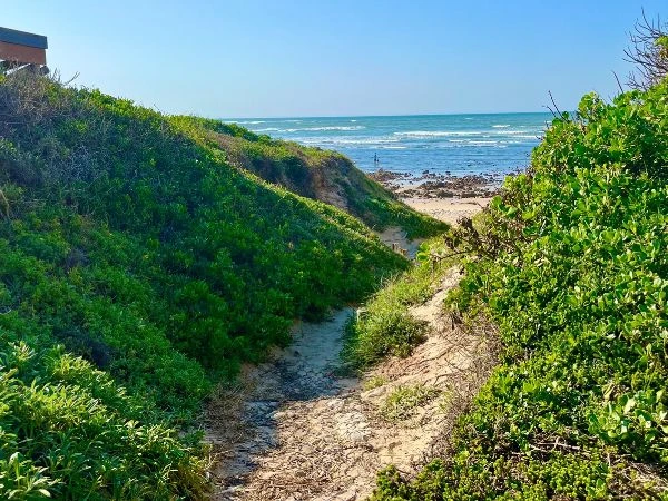 Wildside Coastal Tours Gallery 9